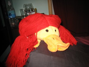 Phillip K. Duck masquerading as a red-head. 